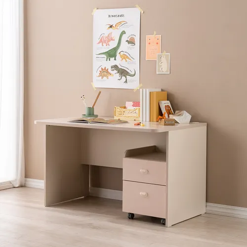 Ronan Normal Desk (accept pre-order)