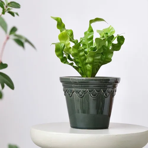 Nordic Glazed Ceramic Plant Pot