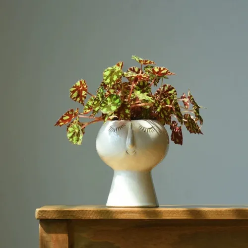Quirky Face Eclectic Plant Pot